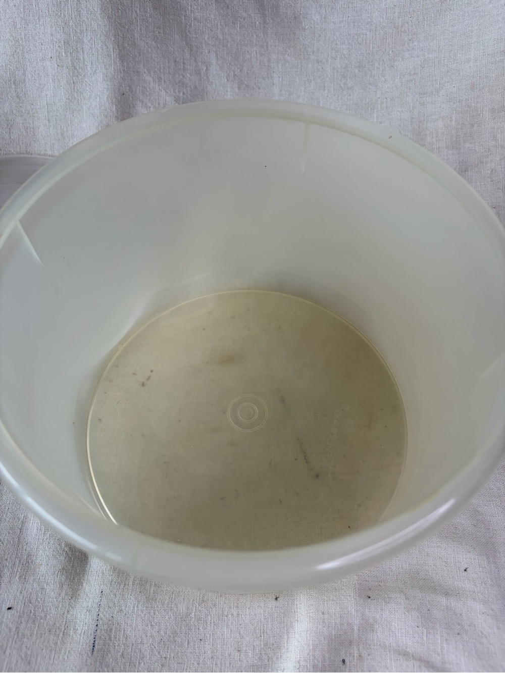 Classic Translucent Storage Container with Lid - Picture 4 of 7